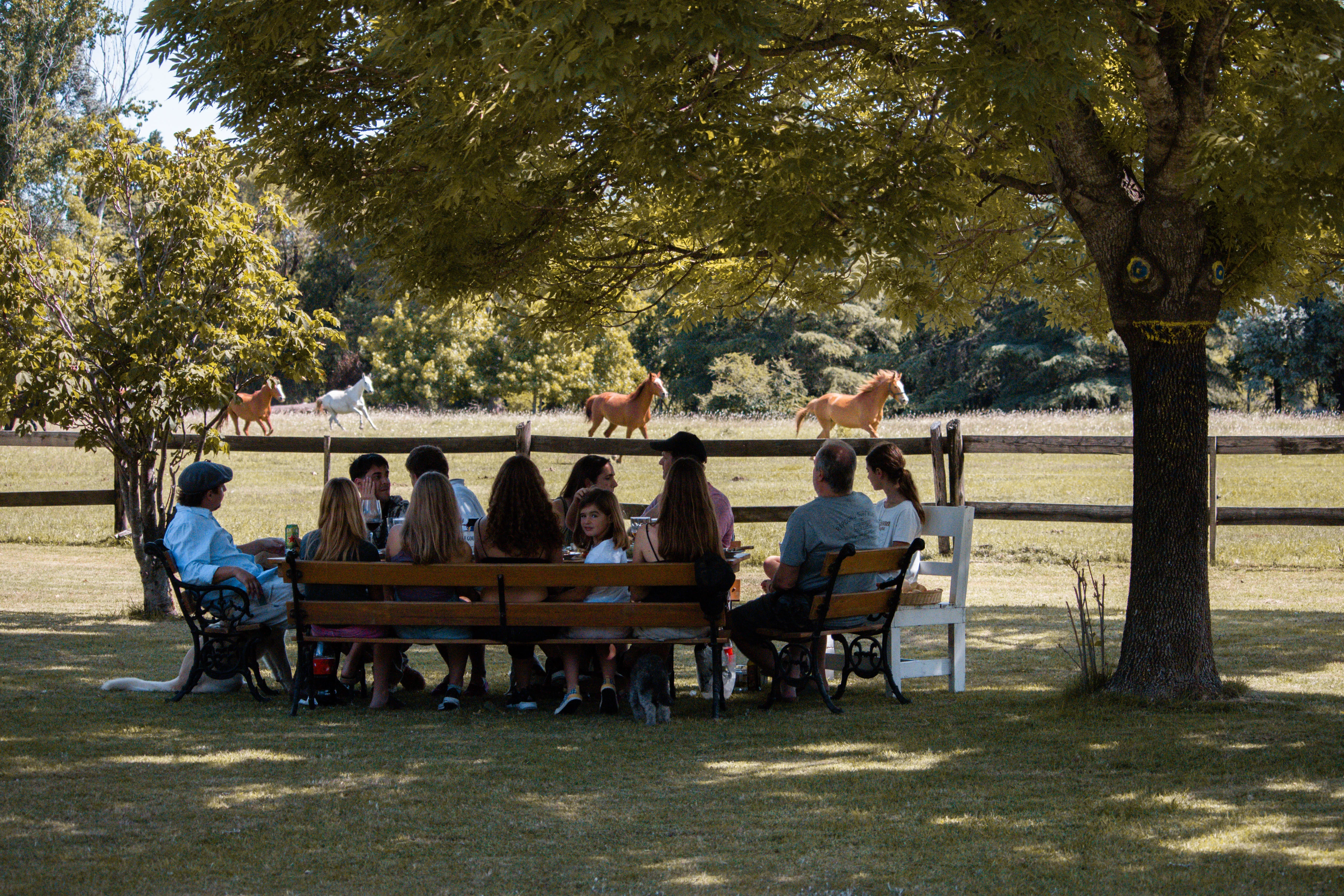 Actividades rurales Agropasión